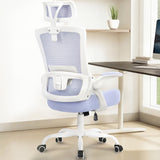 CELTOSS Ergonomic Office Chair, High Back Flip-Up Armrests Design, Adjustable Mesh Headrest and Lumbar Support, Steel Base