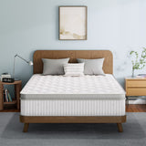 [ETONEX] Standard+ Hybrid Medium Full Mattress