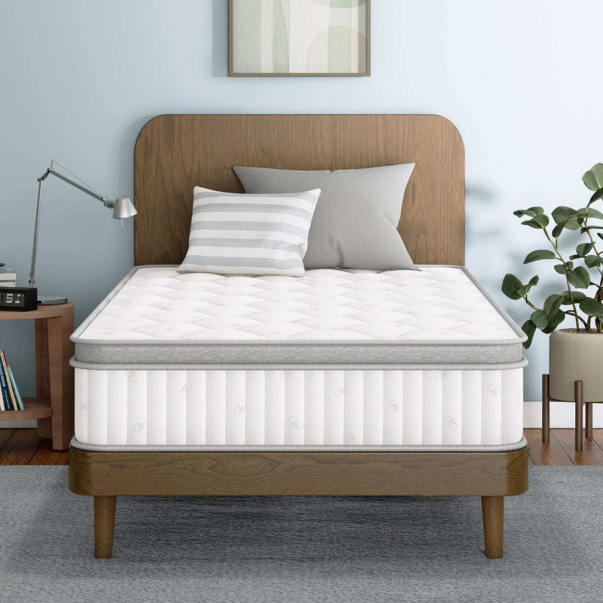 [ETONEX] Standard+ Hybrid Medium Twin Mattress