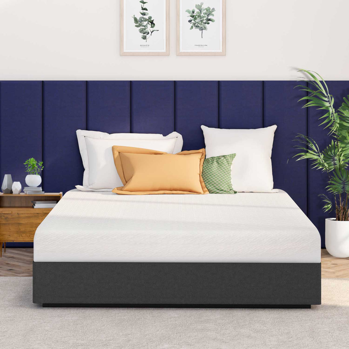 [NEO Sleep] Basic+ Queen 6in Mattress