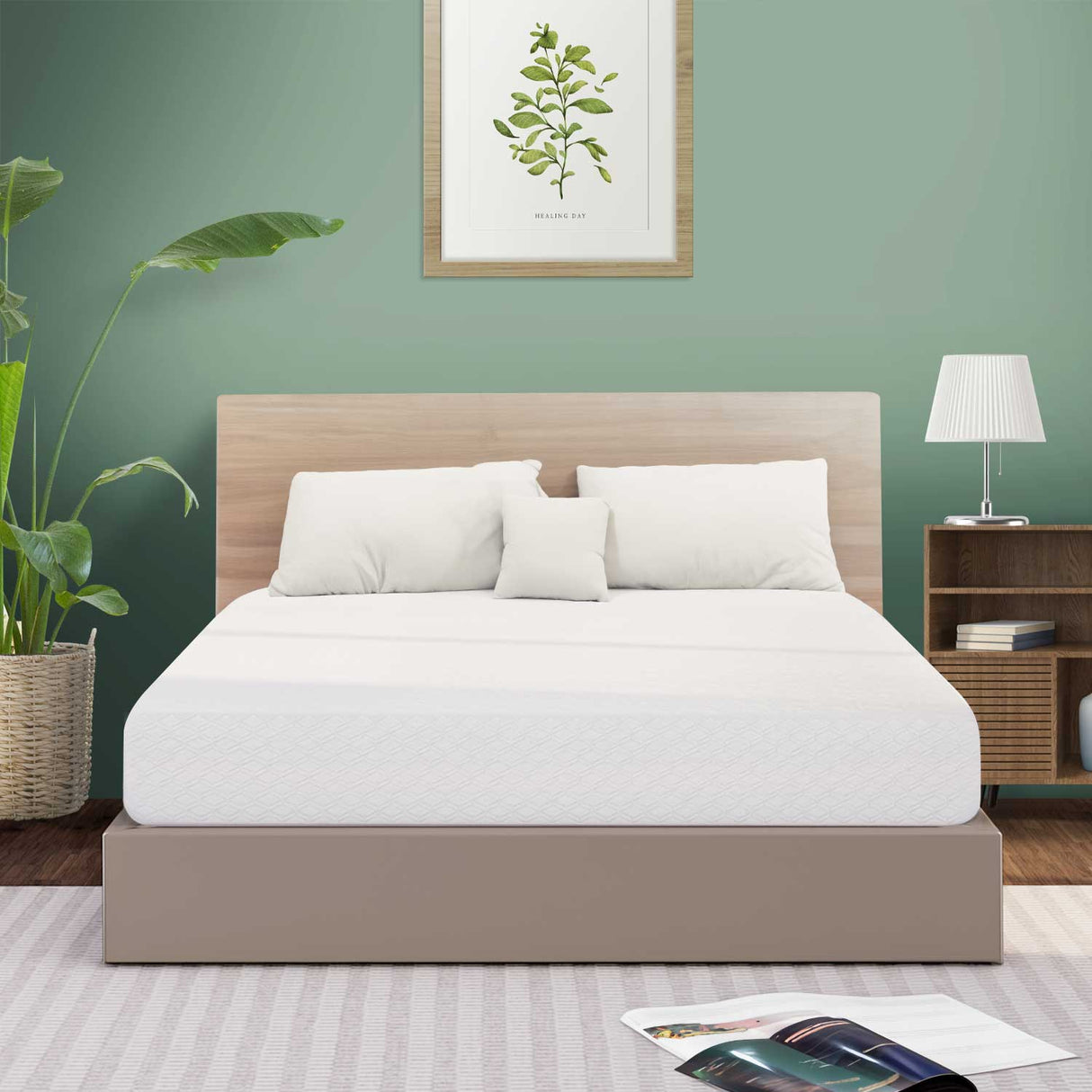 [NEO Sleep] Basic Queen 8in Mattress
