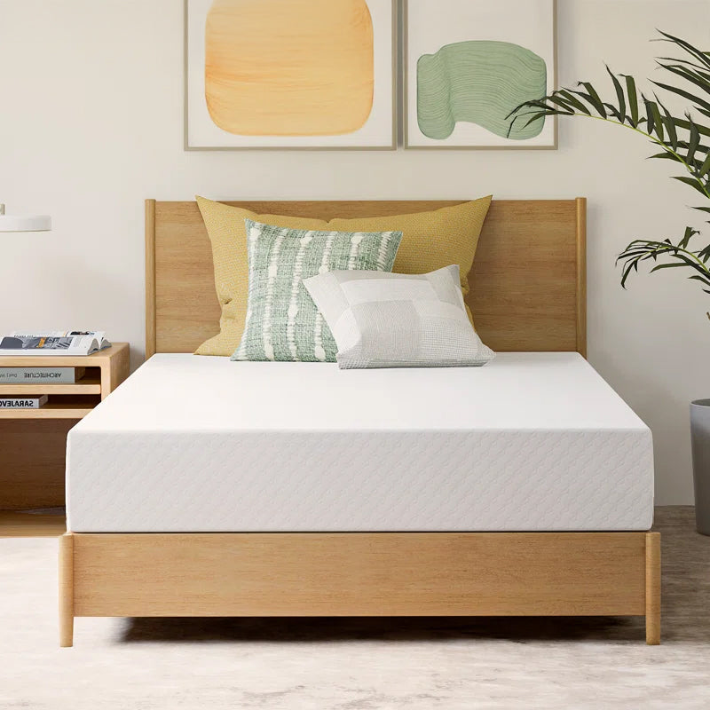 [CELTOSS] Basic+ TwinXL 8in