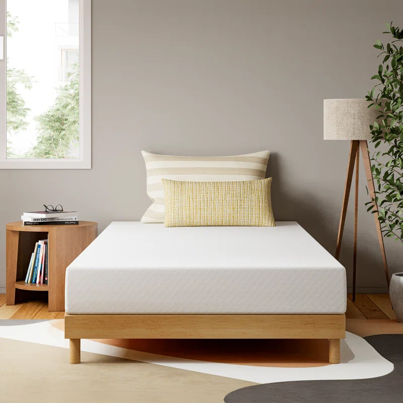 [CELTOSS] Basic TwinXL 8in