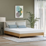 [GAESTE] Basic+ Queen Mattress